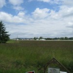 IMG_2509 IMG_2509
