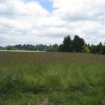 IMG_2510 IMG_2510