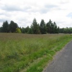 IMG_2511 IMG_2511