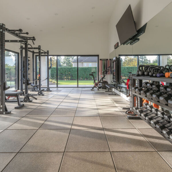 Something Old Something New Luxury Home Gym in Custom Home