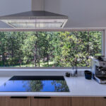 Nature Backsplash in the Kitchen